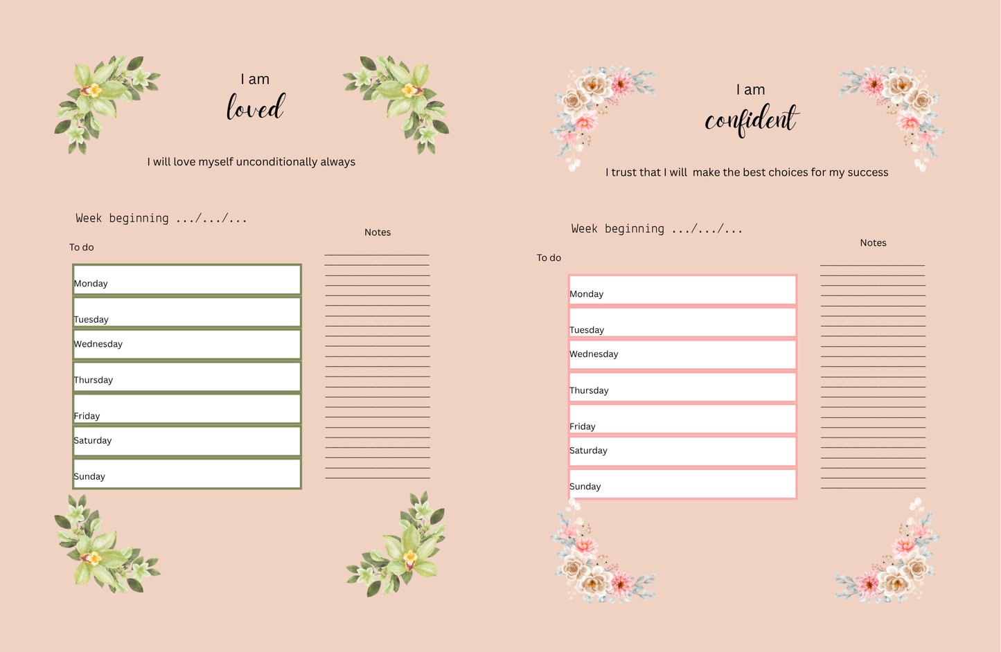 Positive affirmations planner (mountain)