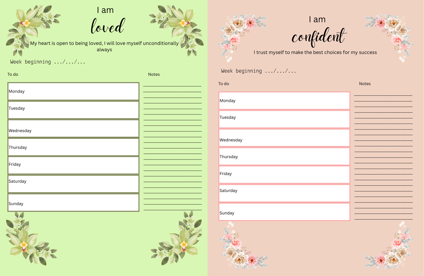 Positive affirmations planner (rainbow)