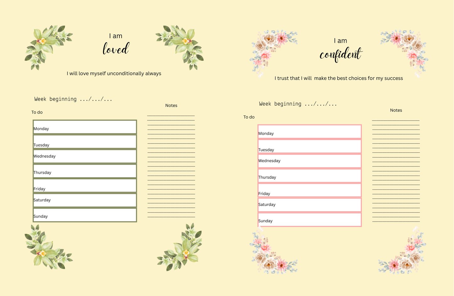 Positive affirmations planner (sunshine)