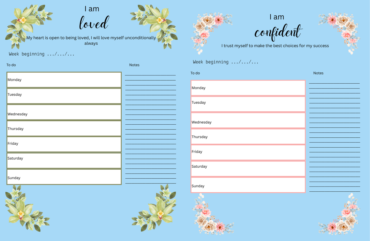 Positive affirmations planner (ocean)